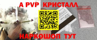 шишки Нальчик