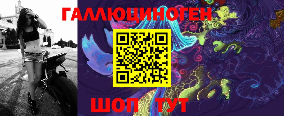 Галлюциногенные грибы Psilocybe Великие Луки
