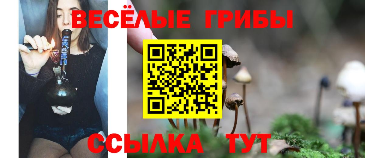 Галлюциногенные грибы Magic Shrooms  как найти наркотики  Великие Луки  Вход с VPN 